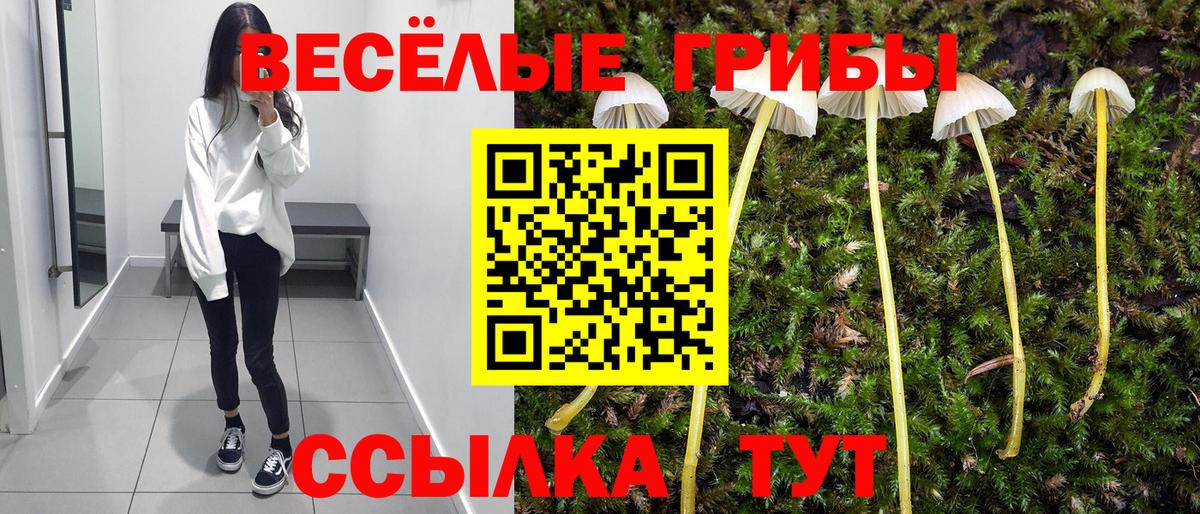 Псилоцибиновые грибы Psilocybe  Галлюциногенные грибы прущие грибы  Вход с VPN  Вичуга 